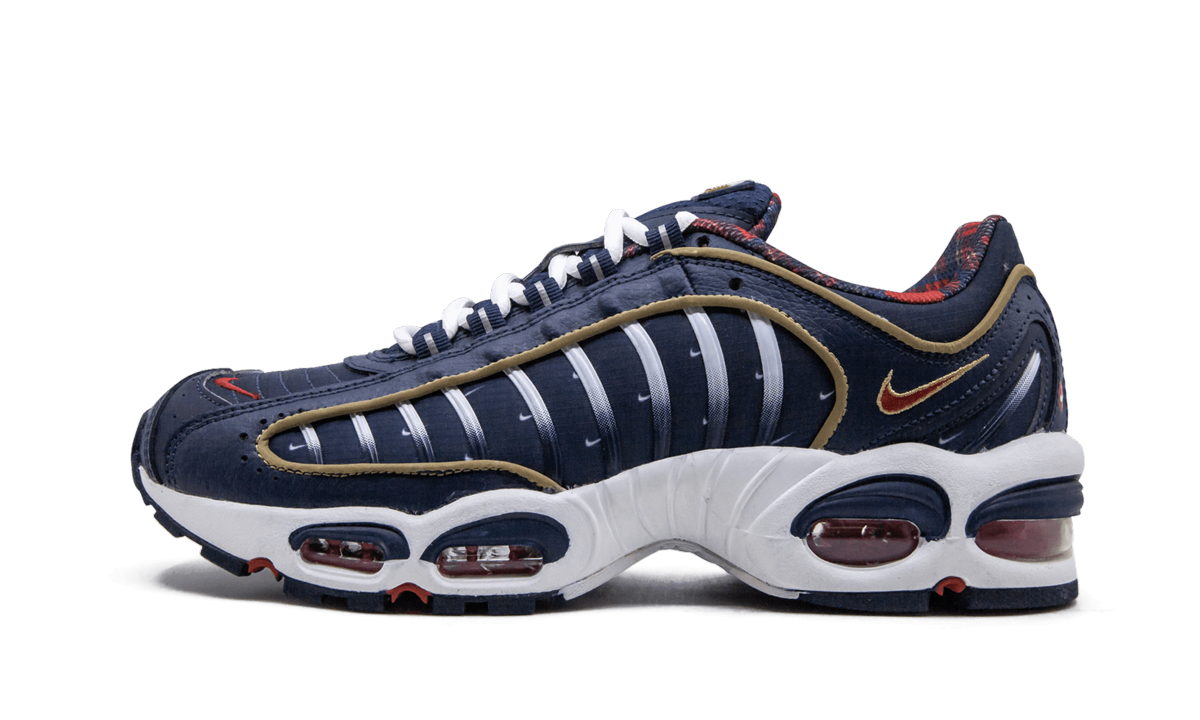Nike Air Max Tailwind 4 "USA" CK0849 400