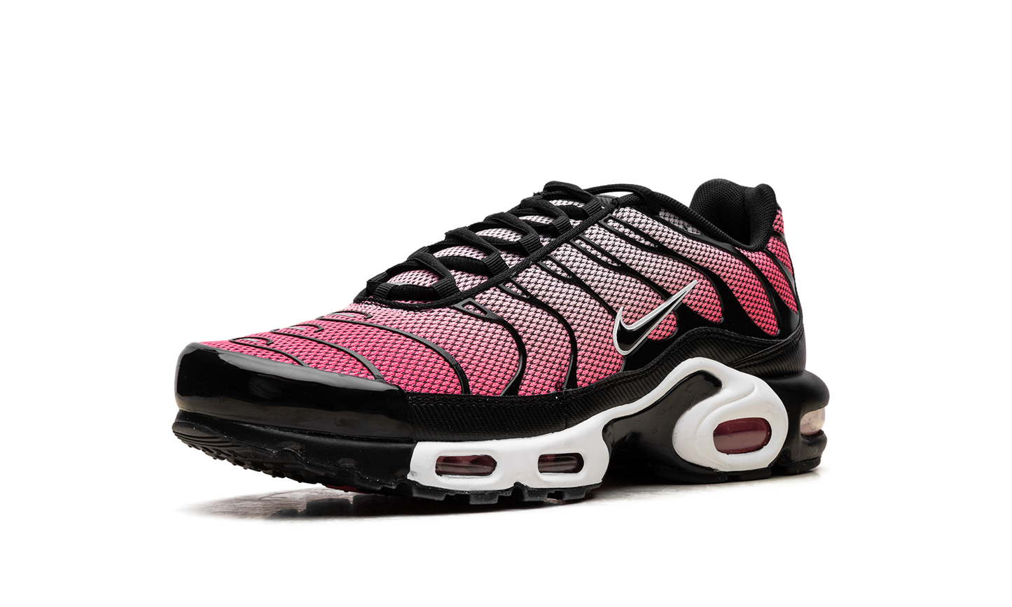 Nike Air Max Plus "All Day" HF3837 600