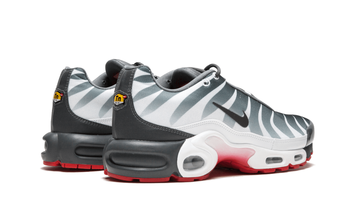 Nike Air Max Plus TN SE AQ0237 100