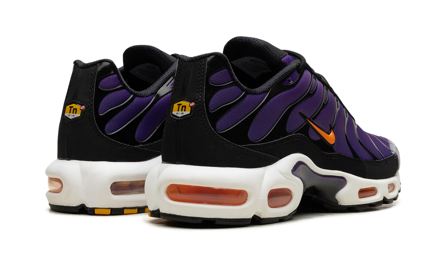 Nike Air Max Plus "Voltage Purple" DX0755 500