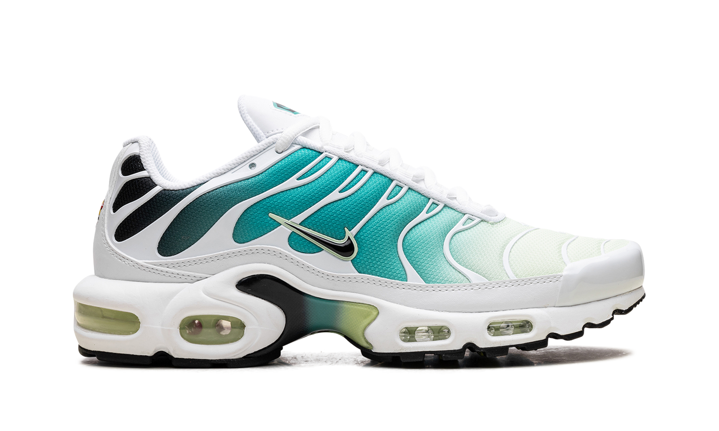 Nike Air Max Plus WMNS "Dusty Cactus Barely Volt" DZ3670 102