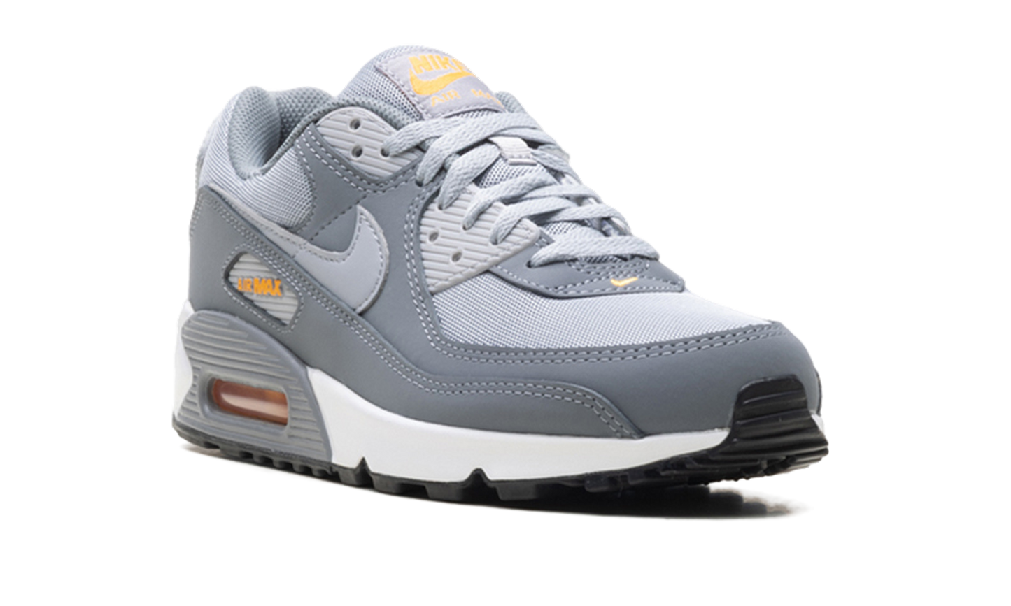 Nike Air Max 90 "Cool Grey Sundial" HV6224 002