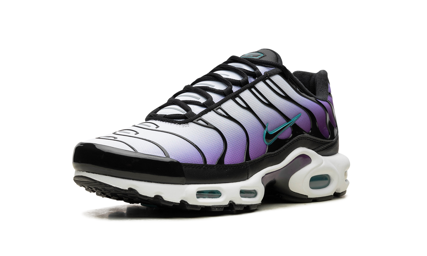 Nike Air Max Plus "Reverse Grape" FQ2415 500