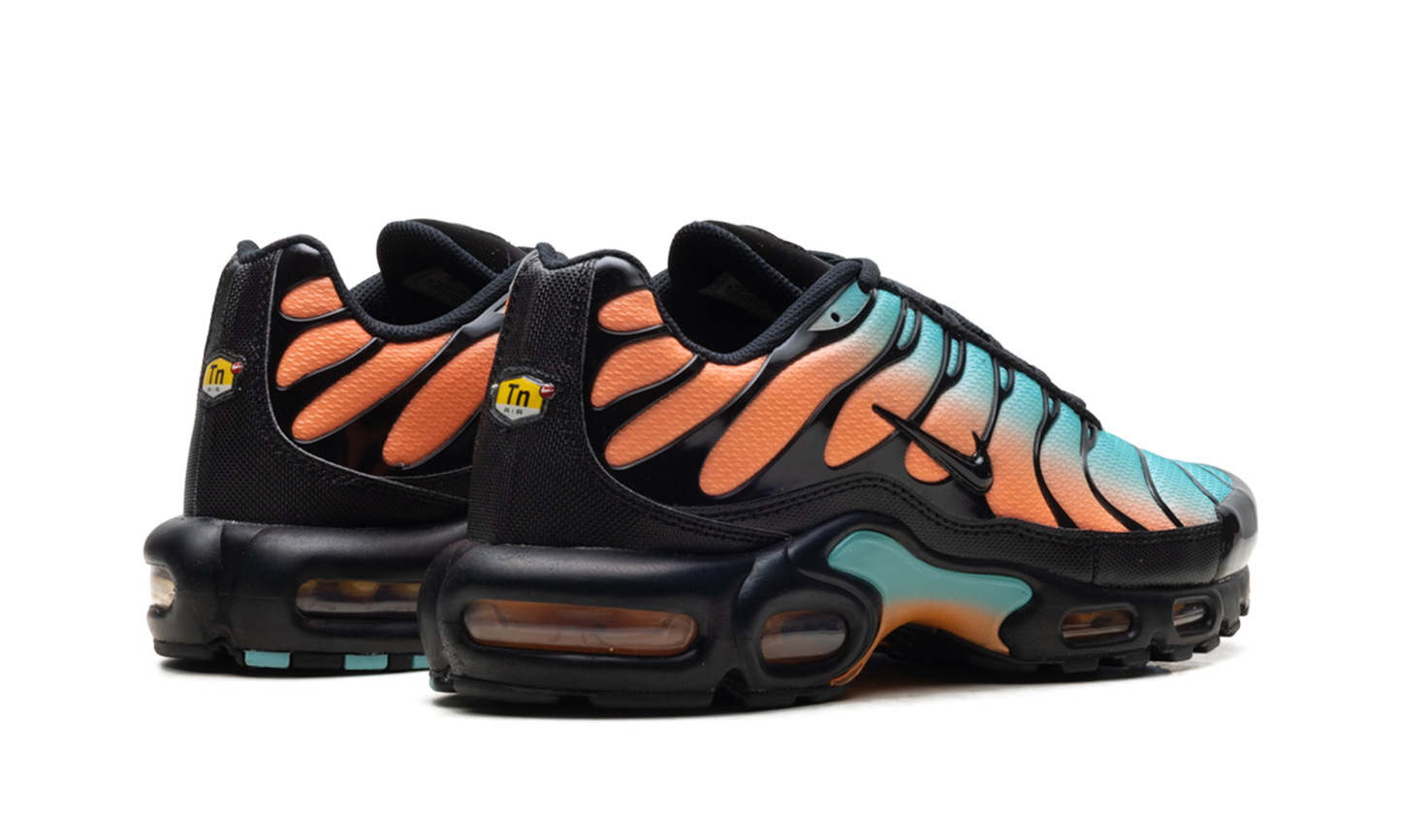 Nike Air Max Plus "South Beach" DM0032 022