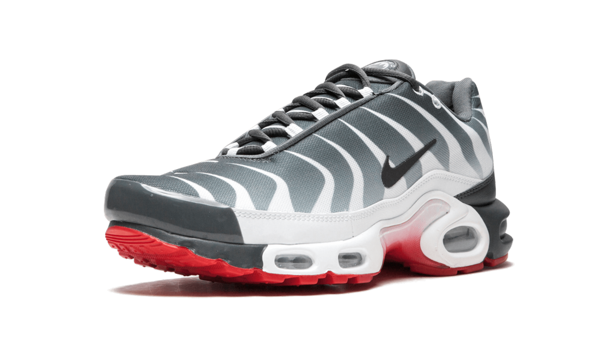 Nike Air Max Plus TN SE AQ0237 100