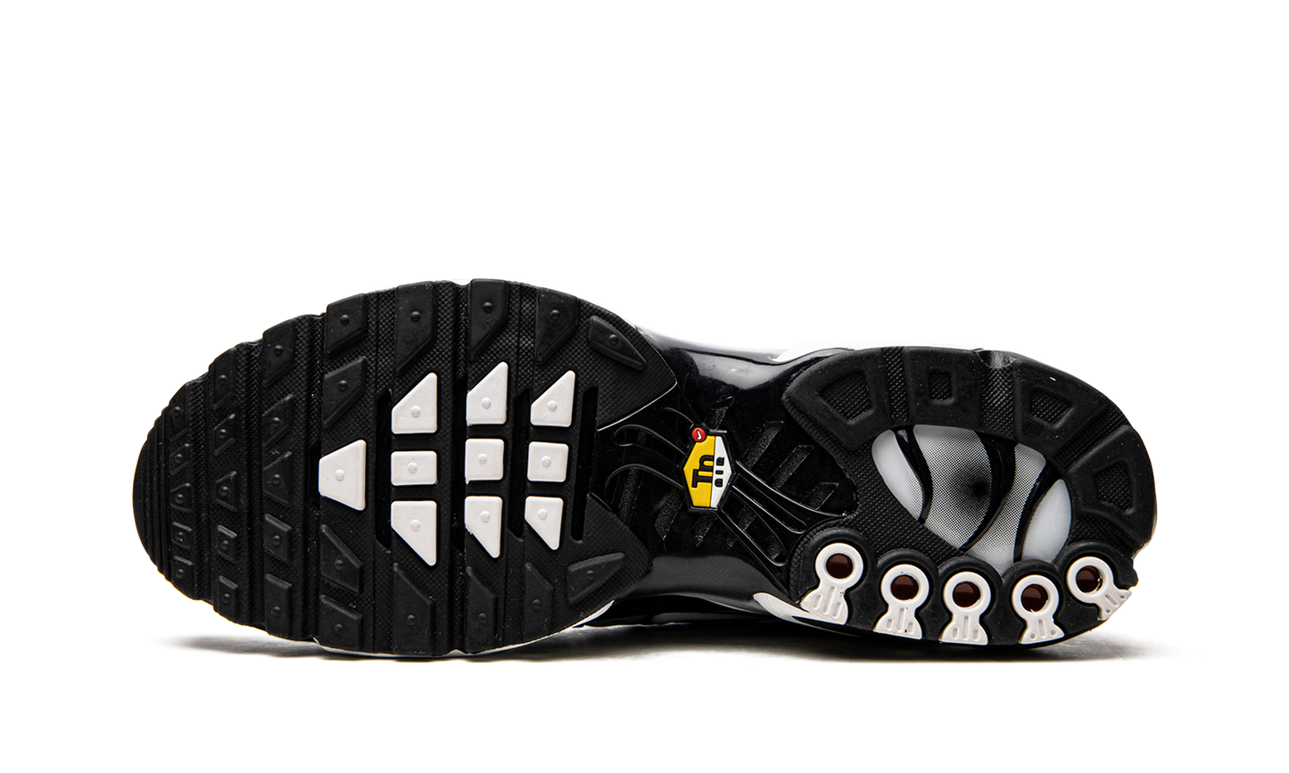 Nike Air Max Plus "Black / Silver" DM0032 003