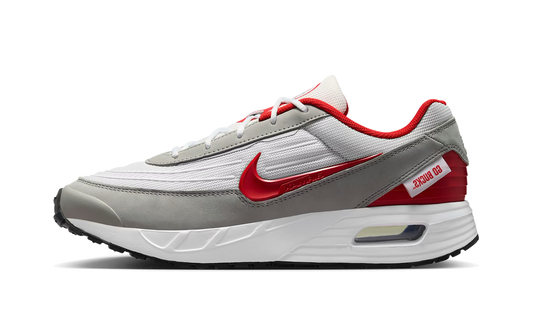 Nike Air Max Verse "Ohio State" IB3232-100