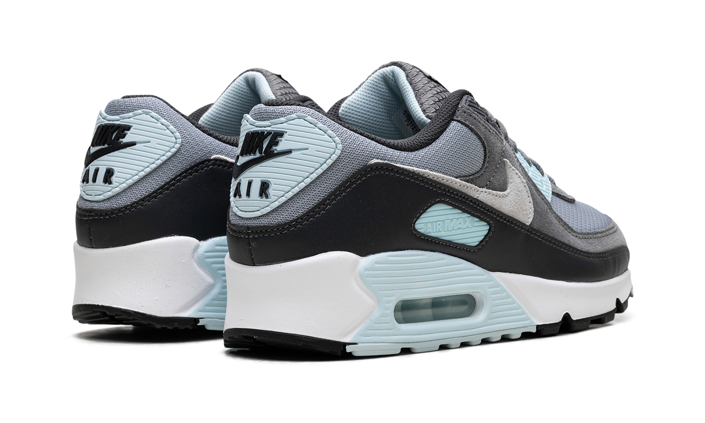 Nike Air Max 90 "Pumice" DM0029 009