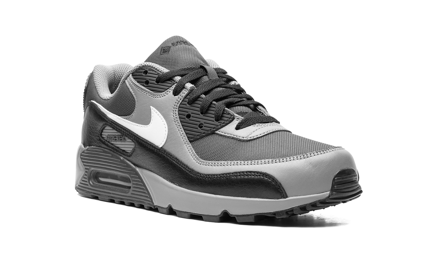 Nike Air Max 90 GORE-TEX "Dark Smoke Grey" FD5810 002