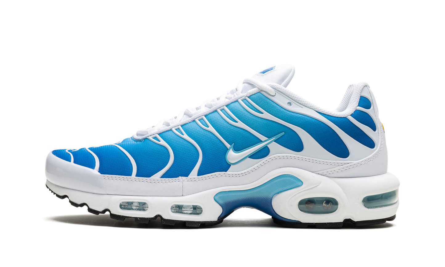 Nike Air Max Plus "Blue Gaze" 852630 411