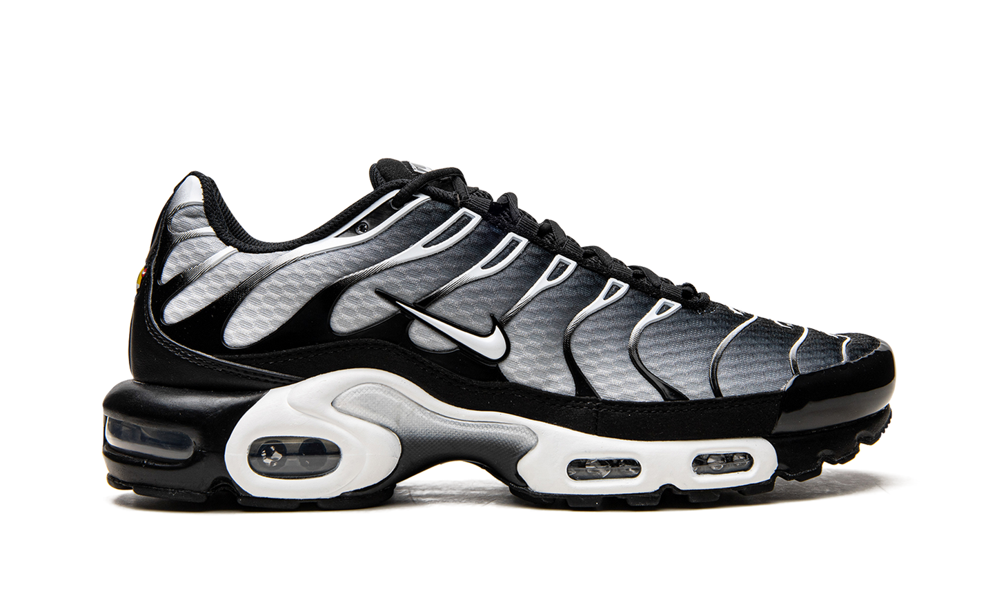 Nike Air Max Plus "Black / Silver" DM0032 003