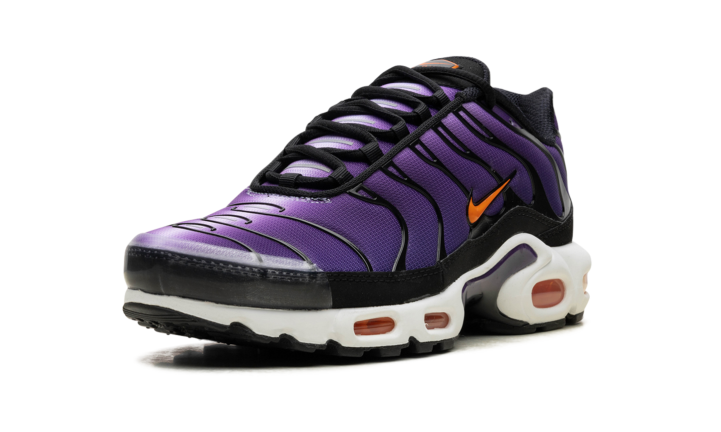 Nike Air Max Plus "Voltage Purple" DX0755 500
