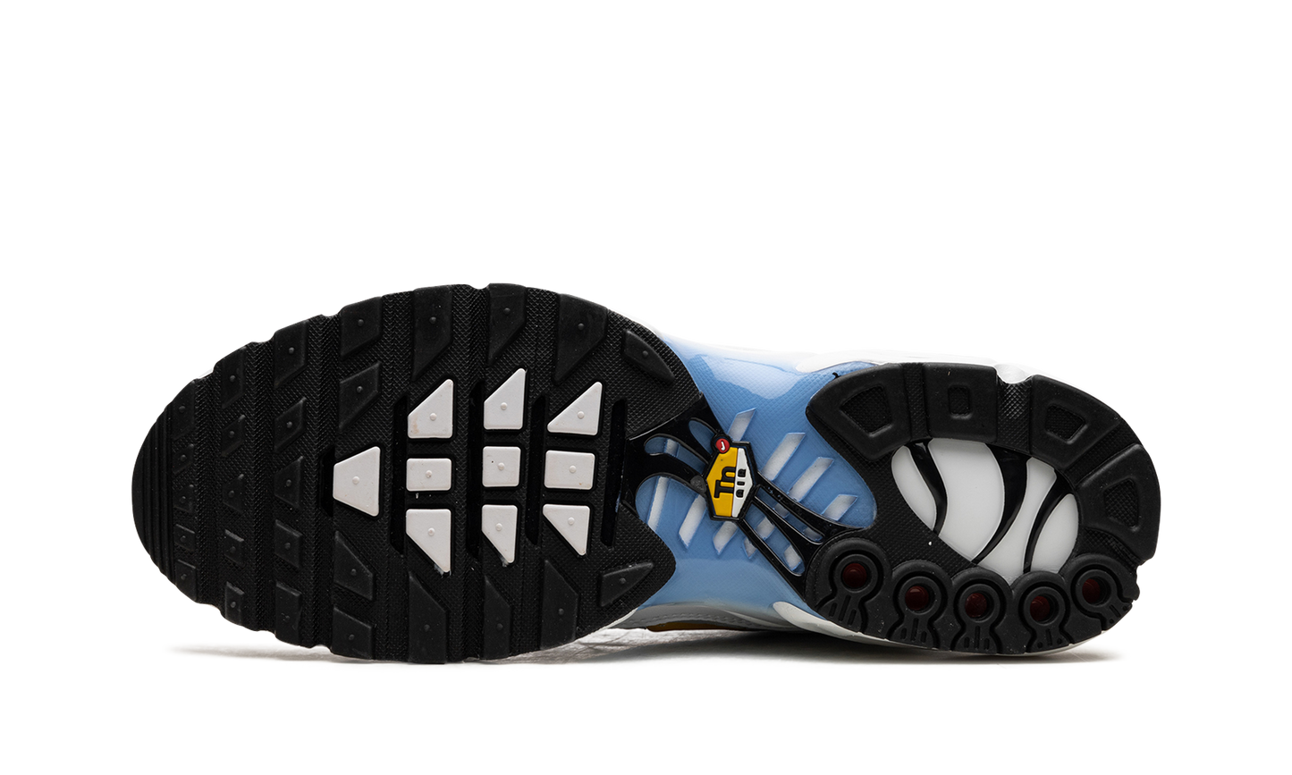 Nike Air Max Plus "White University Blue" DM0032 101