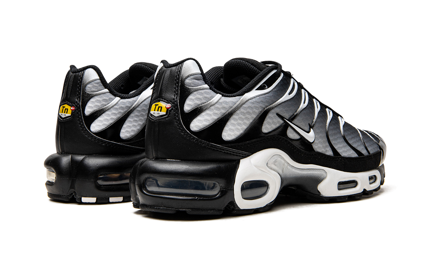 Nike Air Max Plus "Black / Silver" DM0032 003