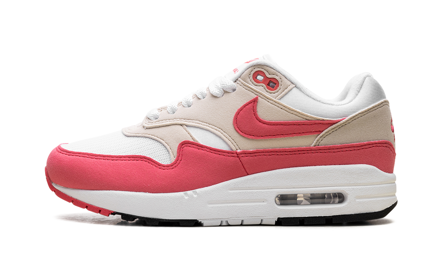 Nike Air Max 1 WMNS "Aster Pink" DZ2628 110