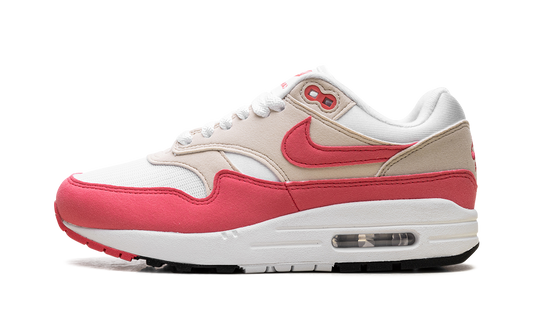 Nike Air Max 1 WMNS "Aster Pink" DZ2628 110