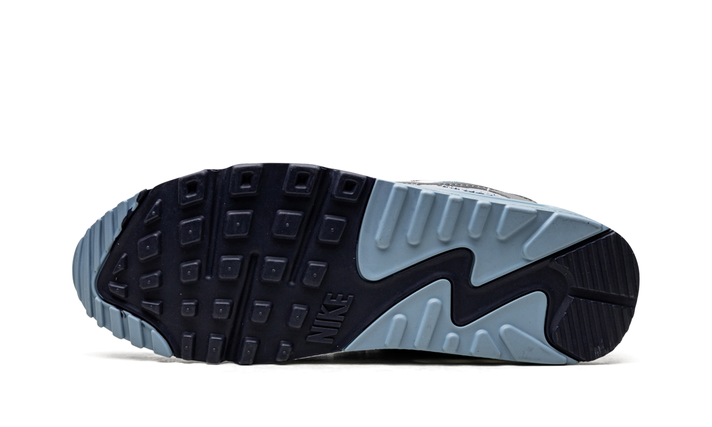 Nike Air Max 90 "Pure Platinum Warm Blue" DM0029 003
