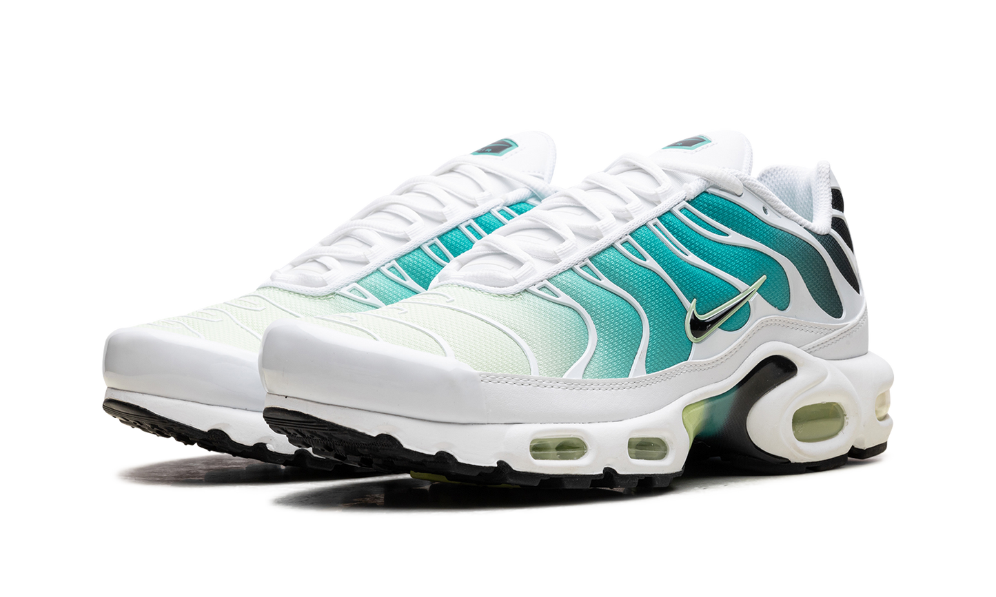 Nike Air Max Plus WMNS "Dusty Cactus Barely Volt" DZ3670 102