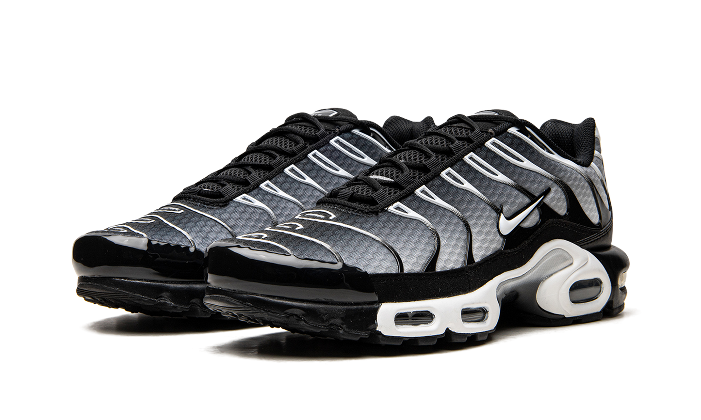 Nike Air Max Plus "Black / Silver" DM0032 003