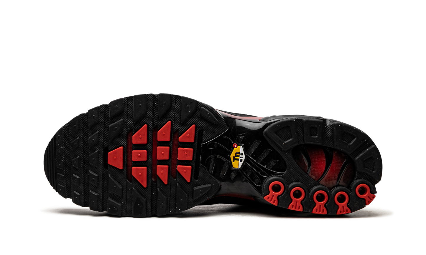 Nike Air Max Plus "Bred Reflective" DZ4507 600