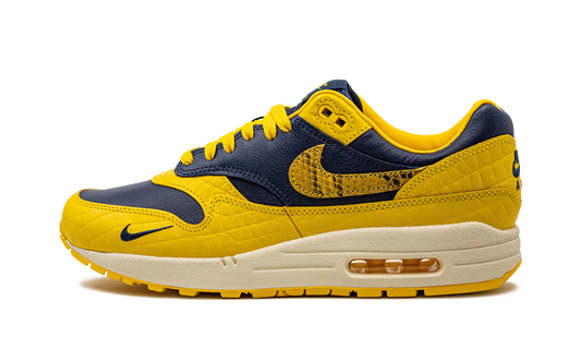 Nike AIR MAX 1 PRM MNS WMNS "Co.jp Head to Head" FJ5479 410