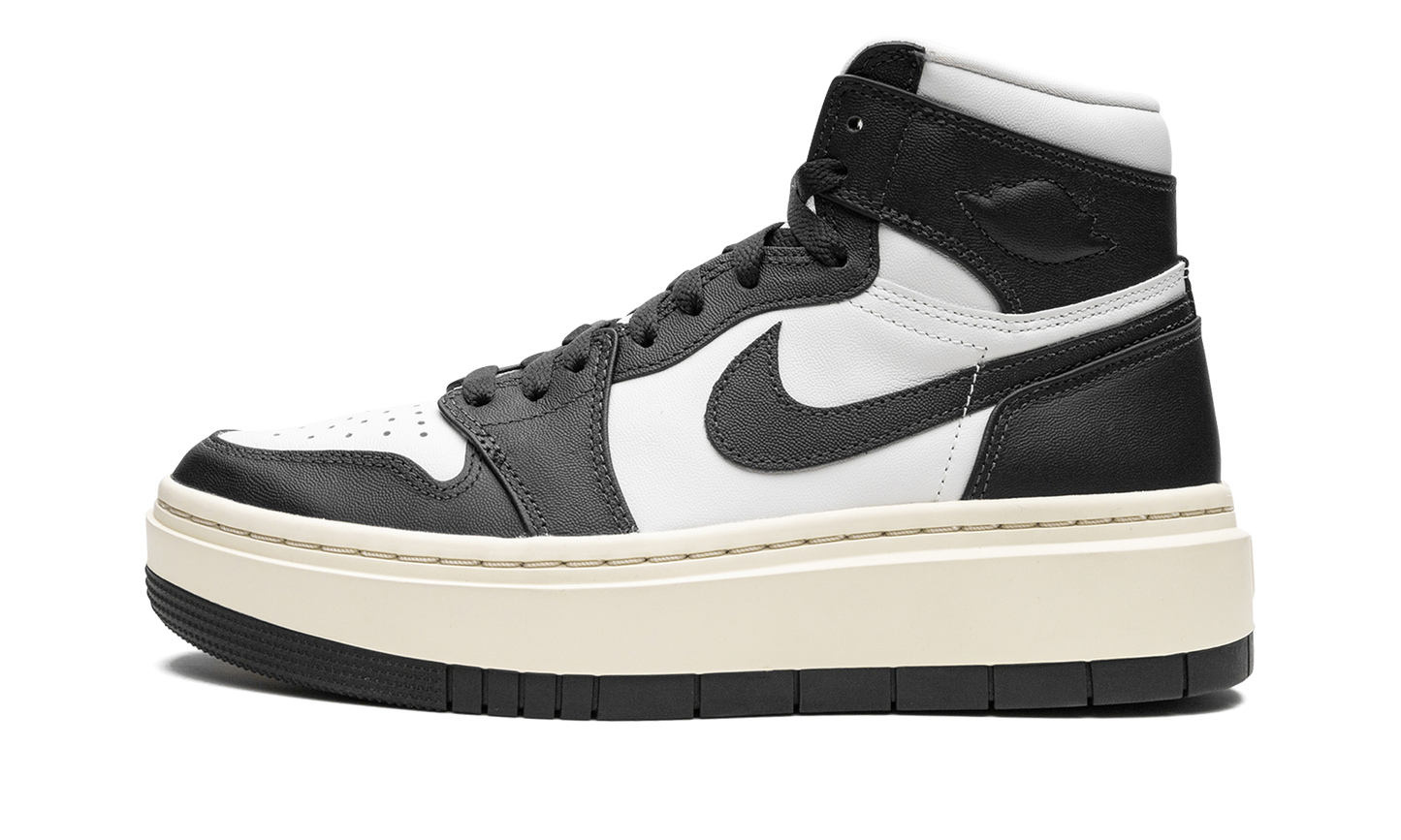 AIR JORDAN 1 ELEVATE HIGH WMNS Dark Ash DN3253 100
