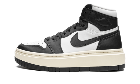 AIR JORDAN 1 ELEVATE HIGH WMNS Dark Ash DN3253 100