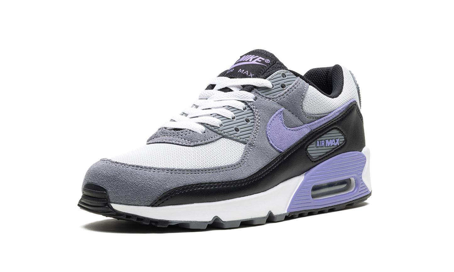 Nike Air Max 90 "Light Thistle" DM0029 014