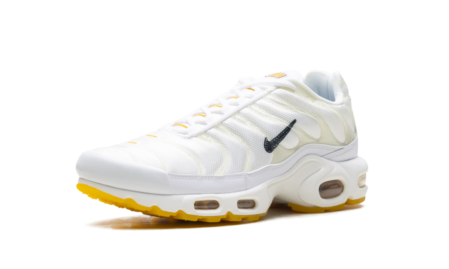 Nike Air Max Plus "Marion Frank Rudy" DQ8960 100