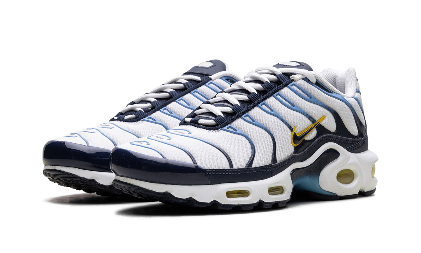Nike Air Max Plus CT1094 100