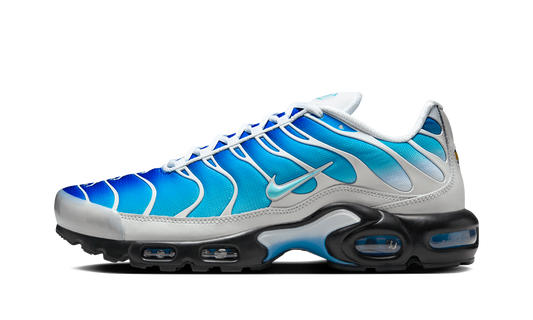 Nike Air Max Plus "One Block Down - Light Photo Blue EU Exclusive" FZ3308 400