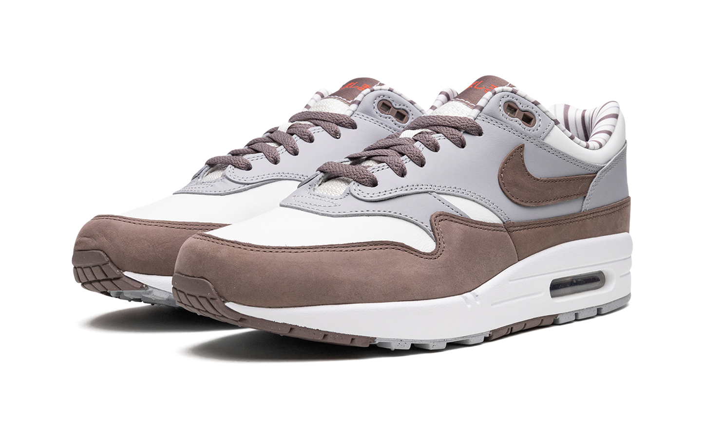 Nike Air Max 1 "Shima Shima" FB8916 100