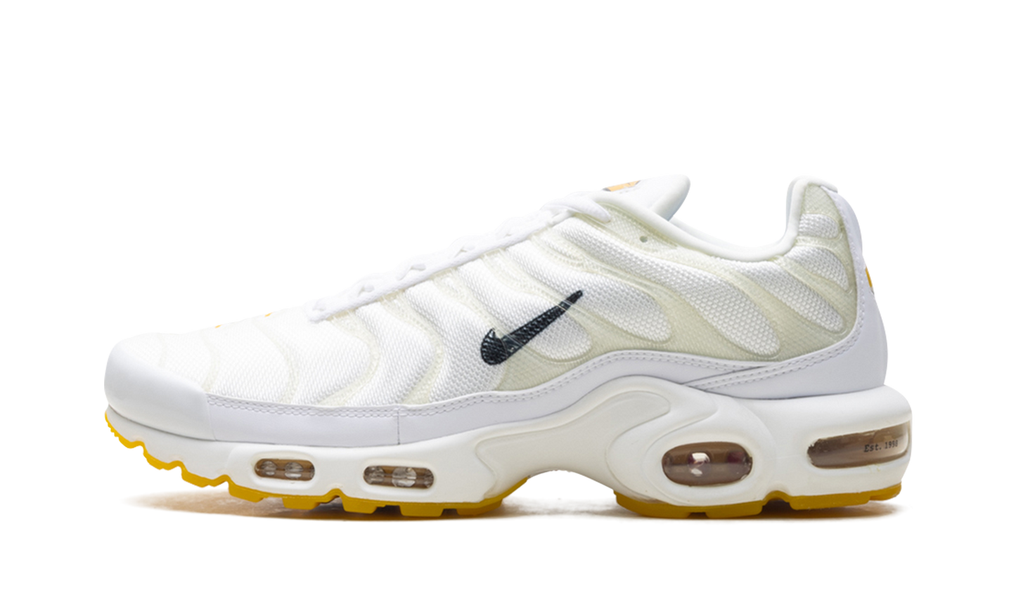 Nike Air Max Plus "Marion Frank Rudy" DQ8960 100