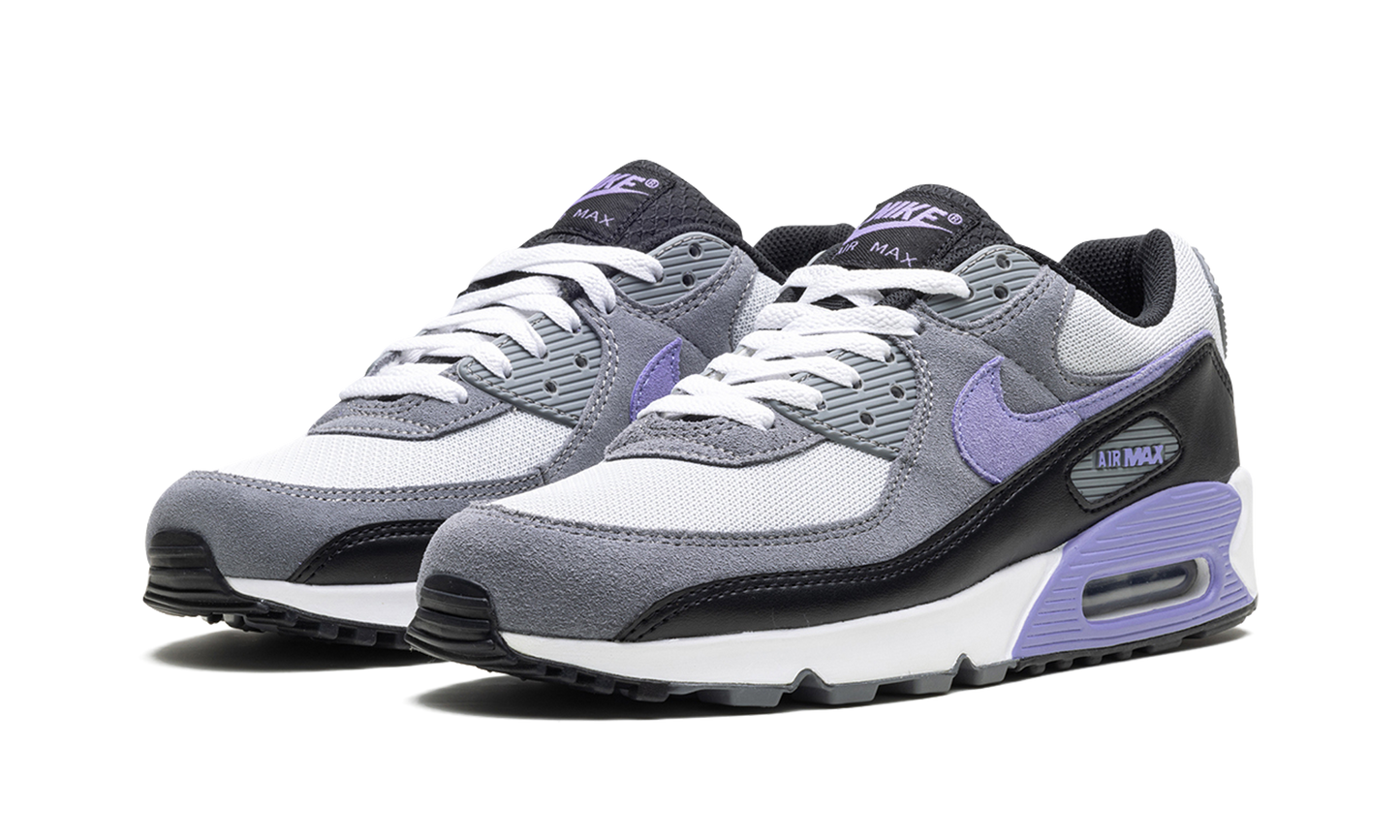 Nike Air Max 90 "Light Thistle" DM0029 014