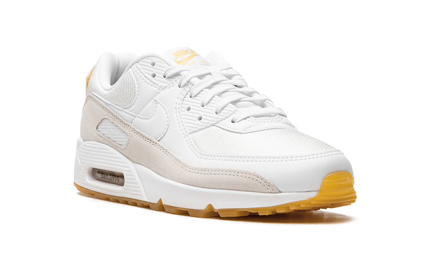 Nike Air Max 90 "Frank Rudy" DV1734 100