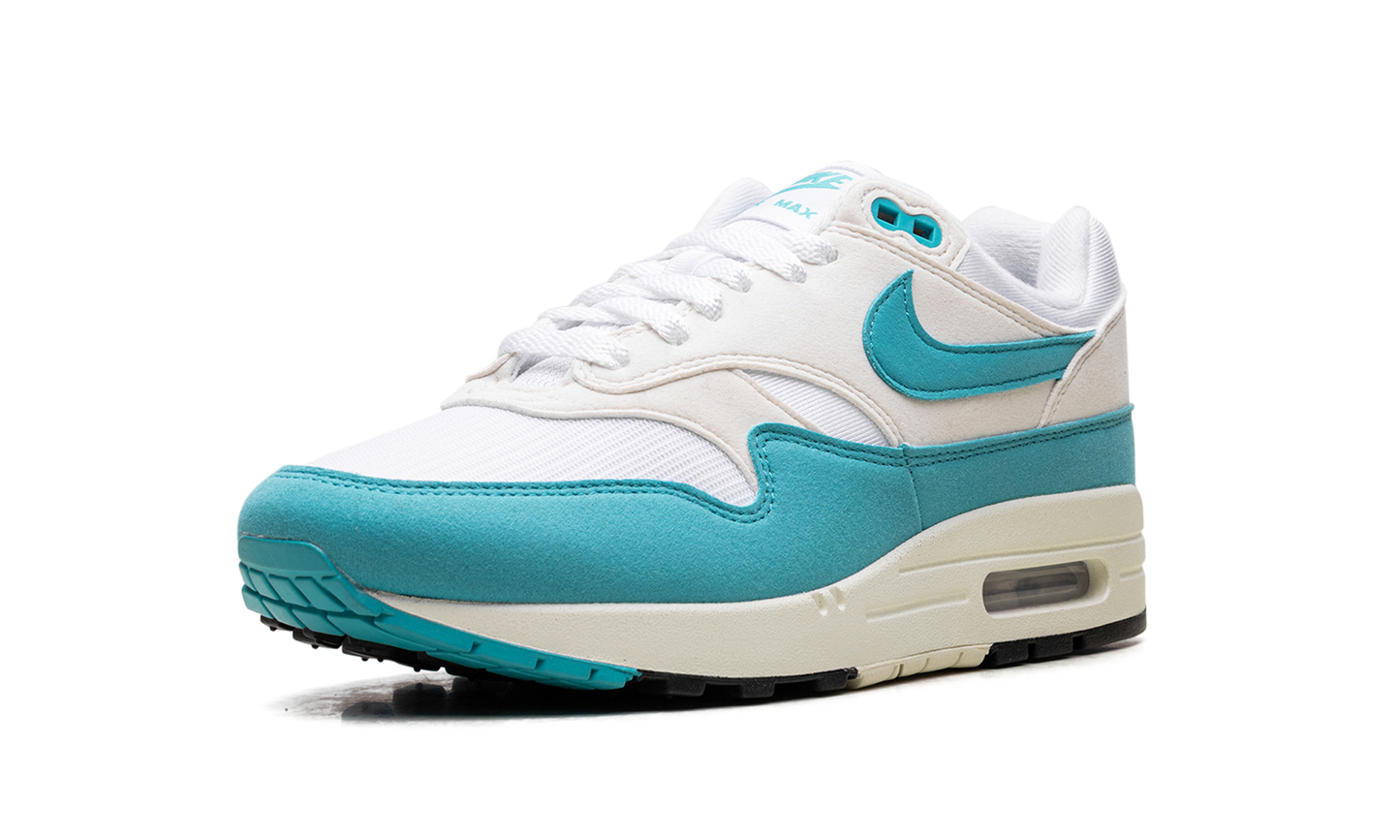 Nike Air Max 1 WMNS "Blue" DZ2628 107