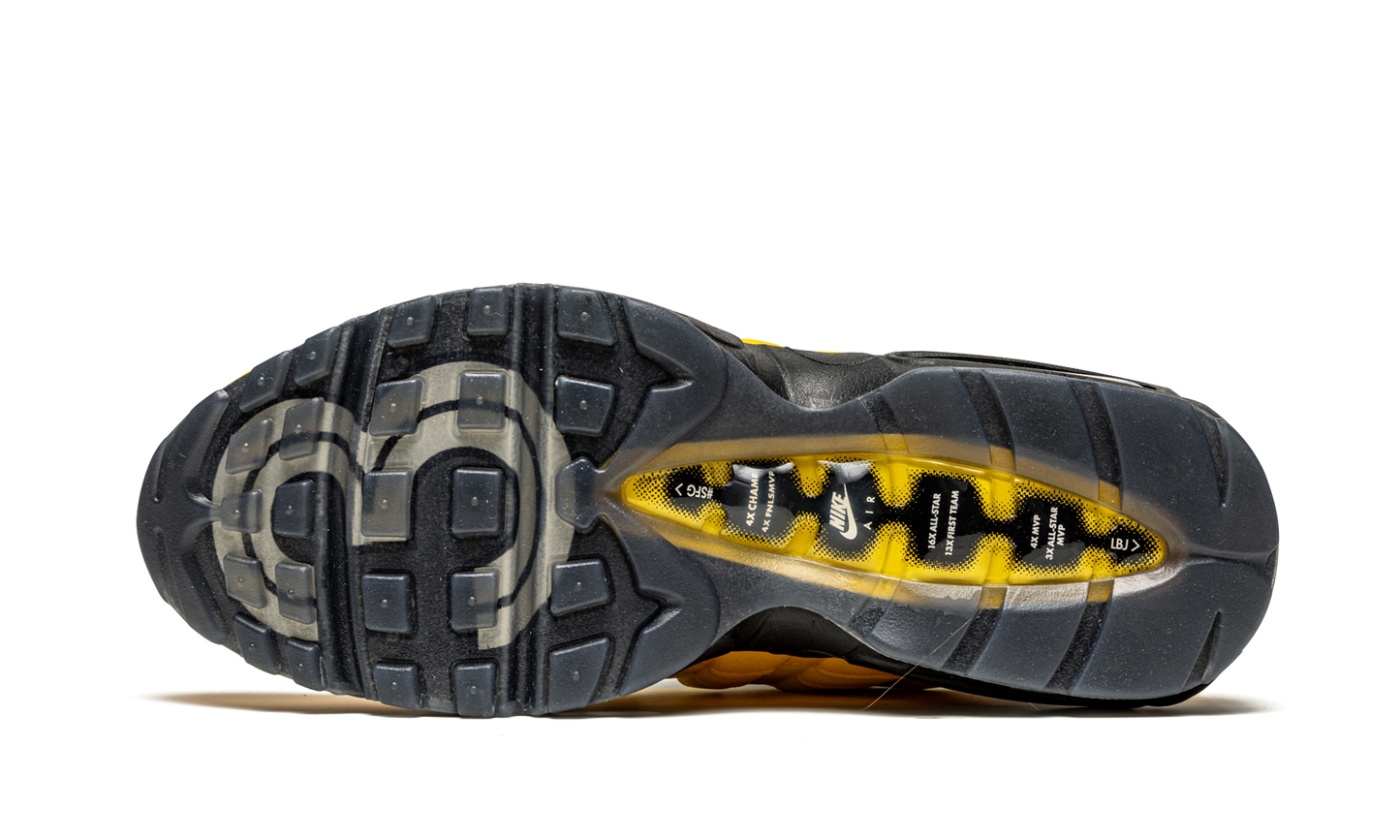 Nike Air Max 95 NRG "Lakers - Lebron" CZ3624 001