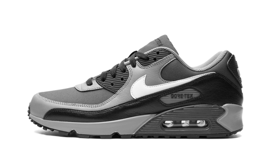 Nike Air Max 90 GORE-TEX "Dark Smoke Grey" FD5810 002