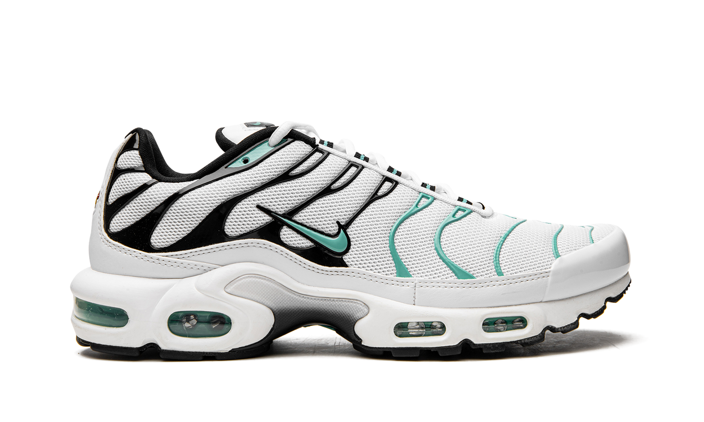 Nike Air Max Plus "Atmos" 604133 148