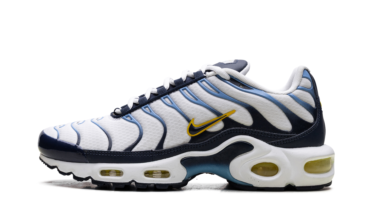 Nike Air Max Plus CT1094 100