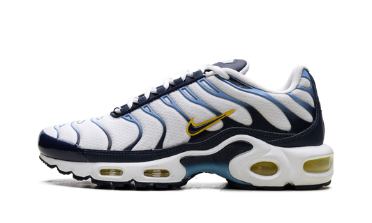 Nike Air Max Plus CT1094 100
