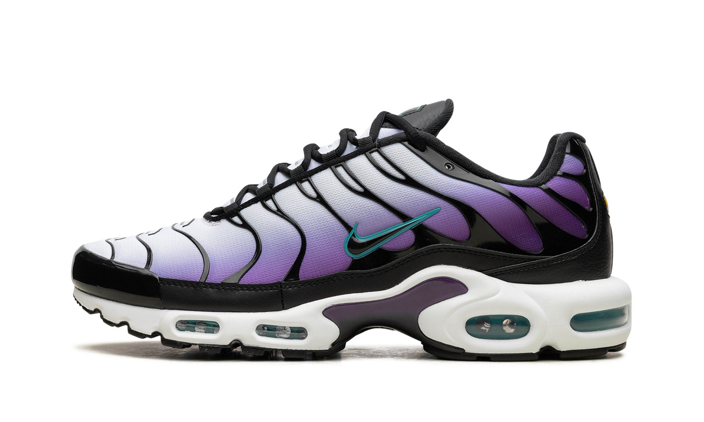 Nike Air Max Plus "Reverse Grape" FQ2415 500