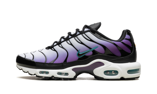 Nike Air Max Plus "Reverse Grape" FQ2415 500