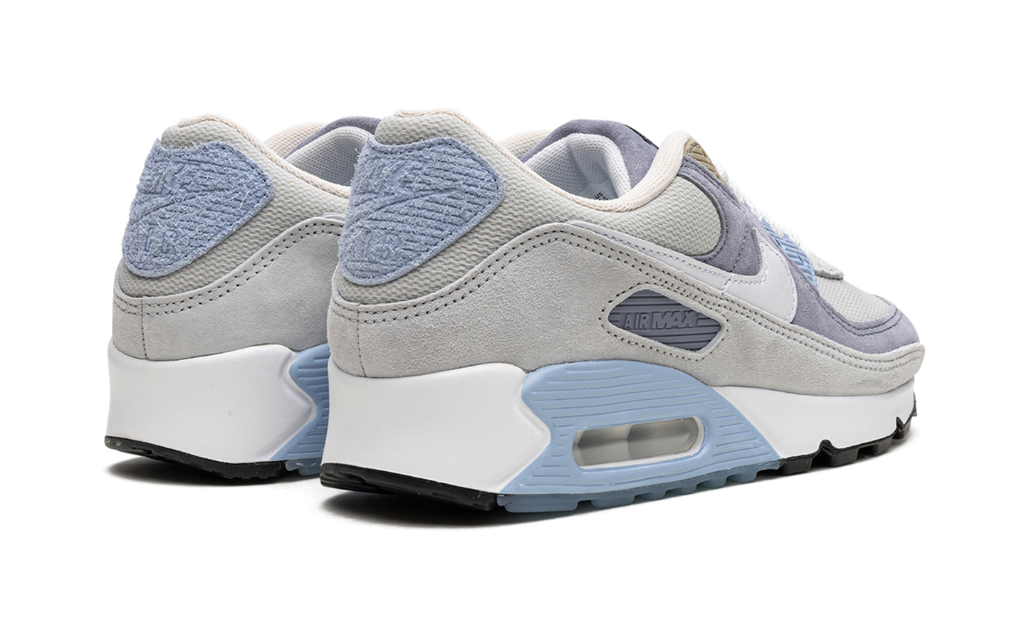 Nike Air Max 90 "Ashen Slate" DM0035 400