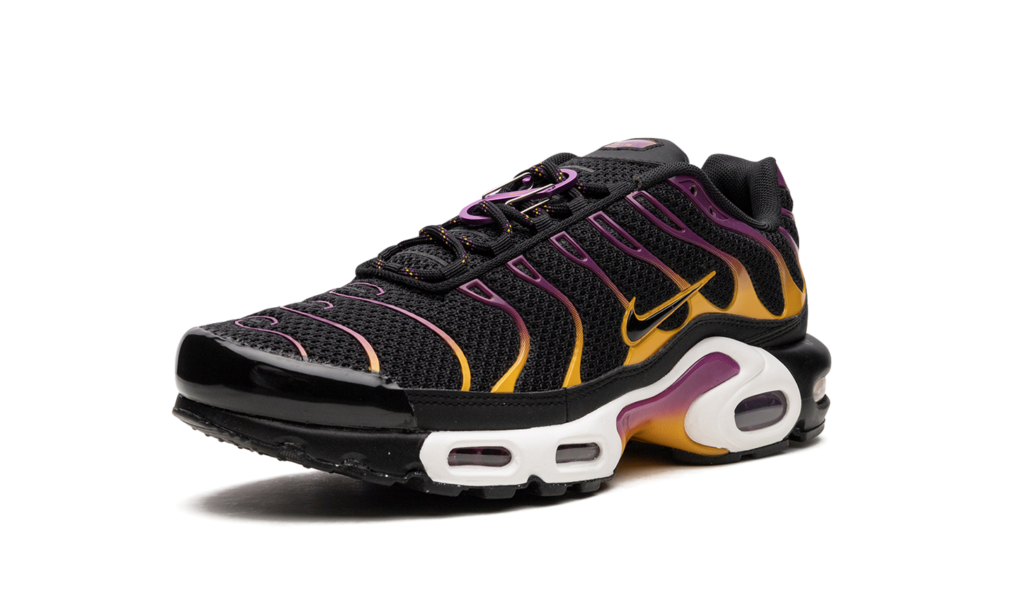 Nike Air Max Plus DX2663 001