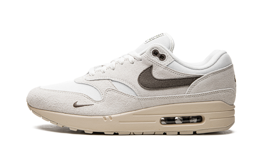 Nike Air Max 1 "Sail Ironstone" DZ4494 100