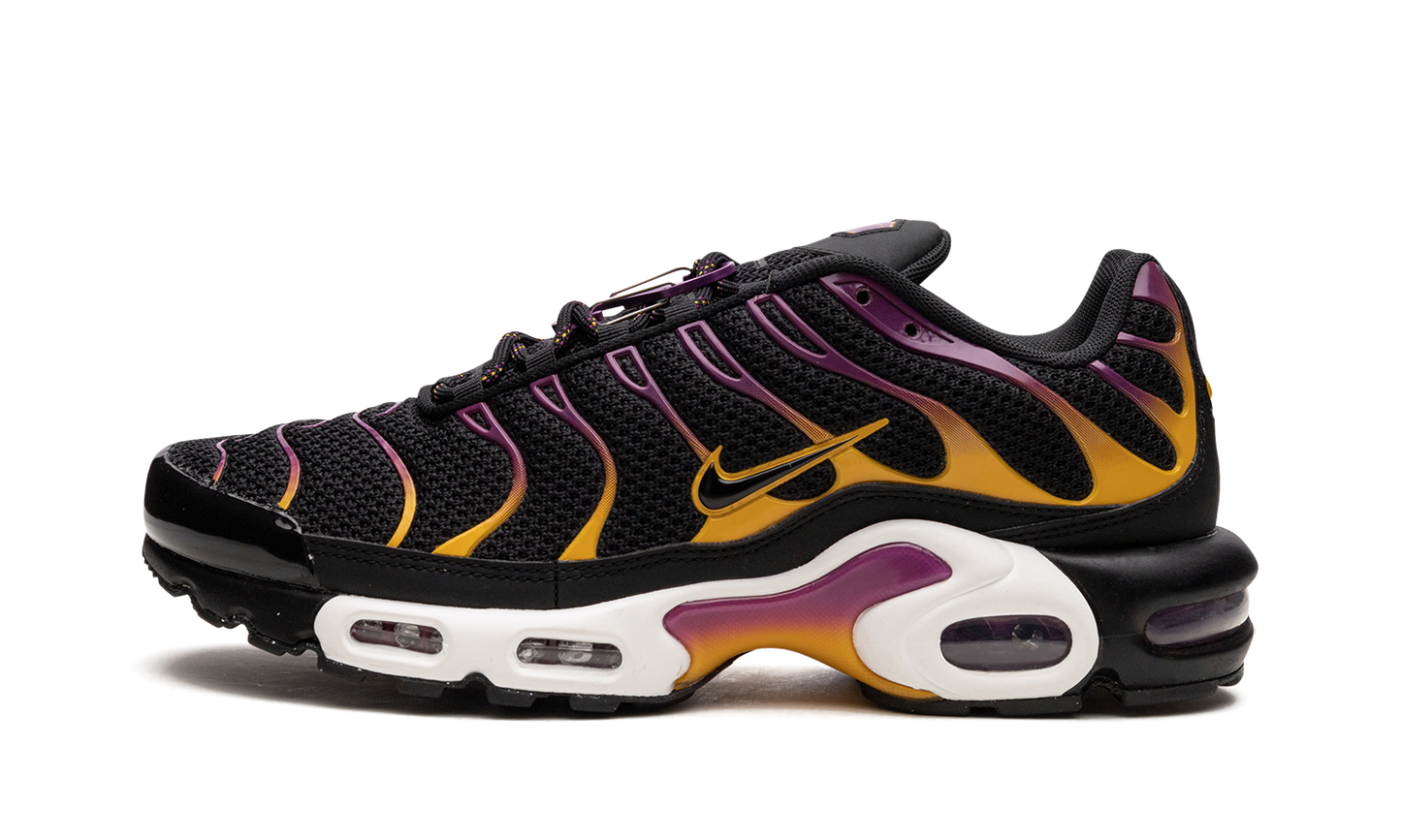 Nike Air Max Plus DX2663 001