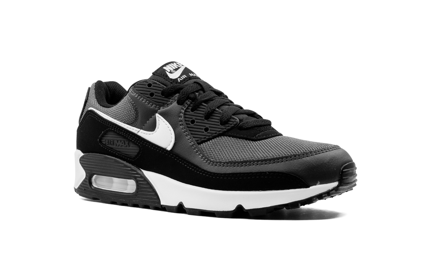 Nike Air Max 90 "Iron Grey" CN8490 002