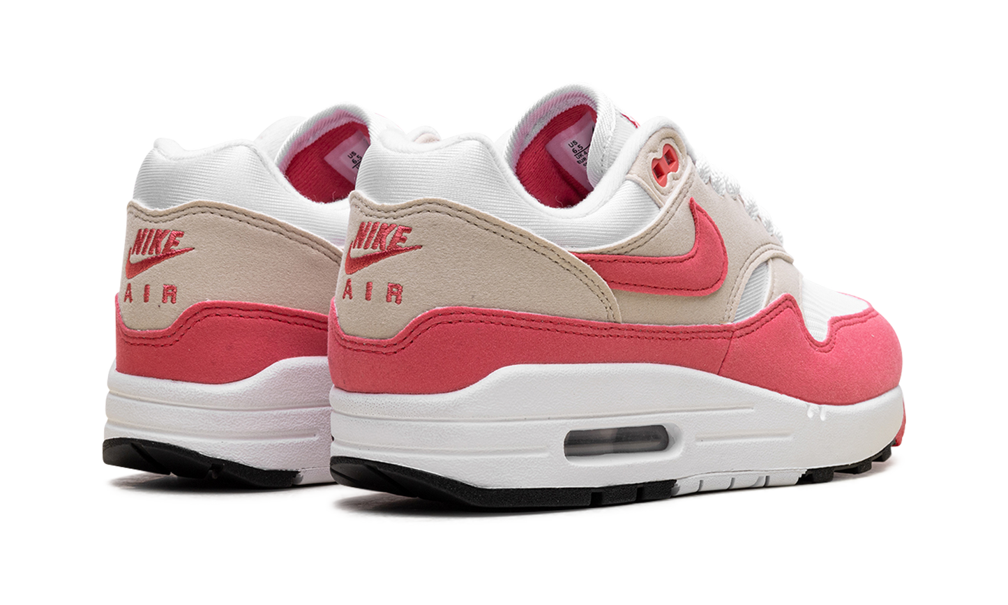 Nike Air Max 1 WMNS "Aster Pink" DZ2628 110