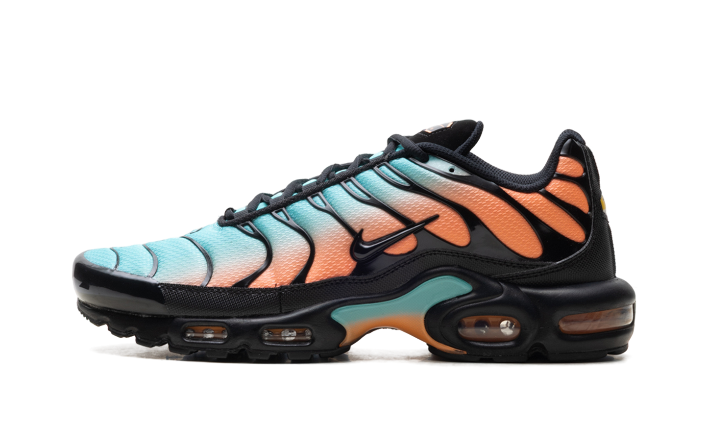 Nike Air Max Plus "South Beach" DM0032 022